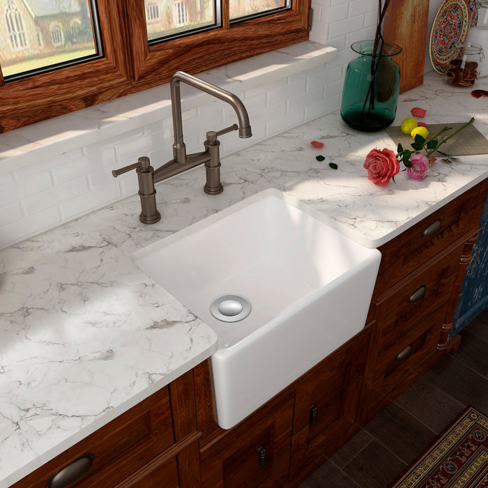 Eridanus 21'' L x 16'' W Ceramic Farmhouse Kitchen Sink with PopUp
